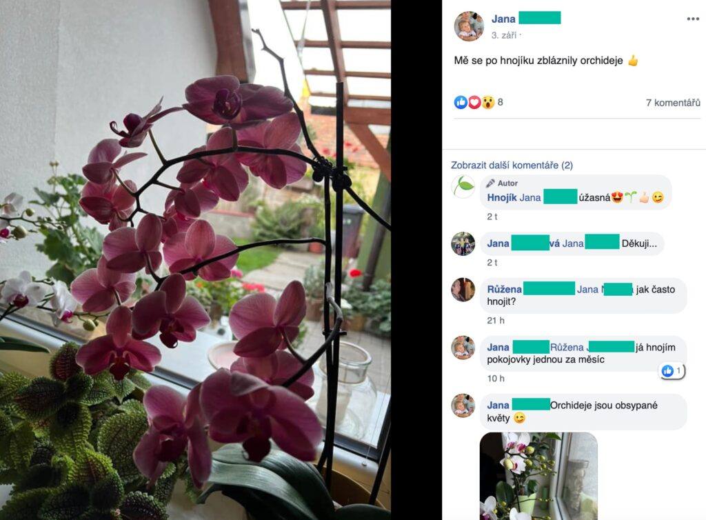 Hnojivo na orchideje 10 2023 10 06 06 18 35