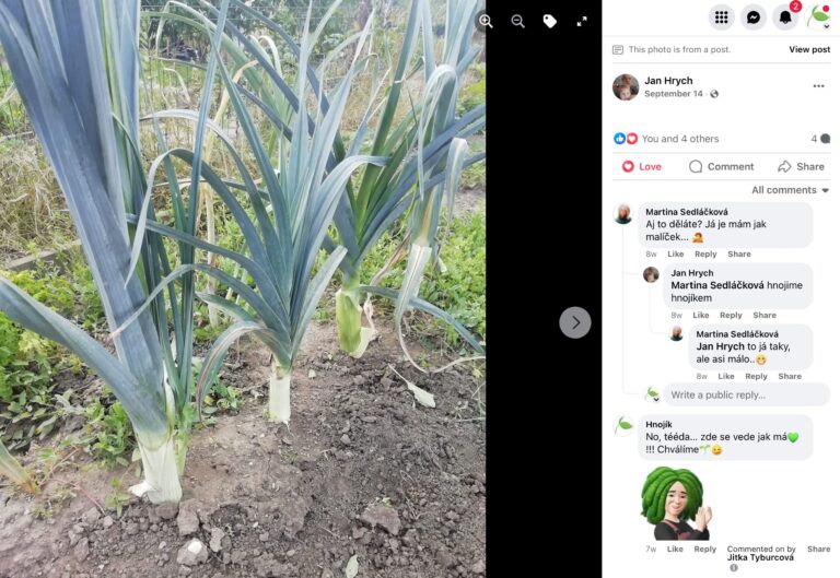 Hnojík - pr článek 53 2023 11 15 17 56 10