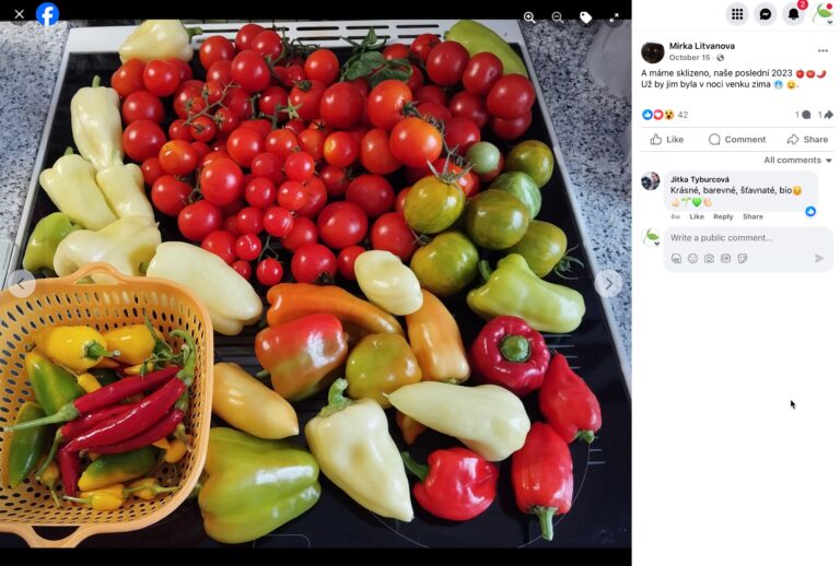 Hnojík - pr článek 52 2023 11 15 17 57 27