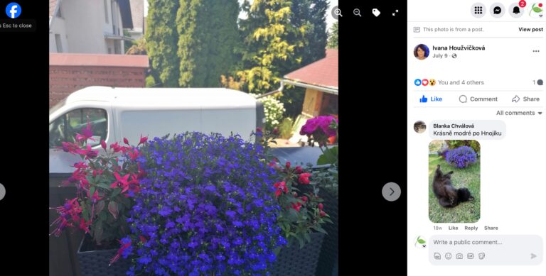 Hnojík - pr článek 51 2023 11 15 17 59 32