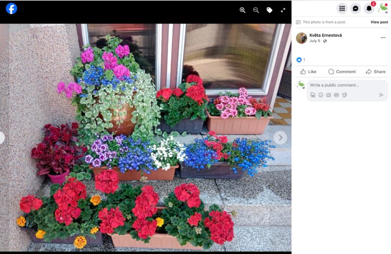 Hnojík - pr článek 50 2023 11 15 17 59 57