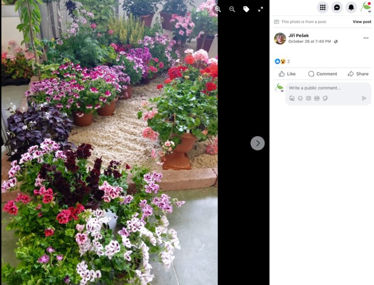 Hnojík - pr článek 54 2023 11 15 18 52 31