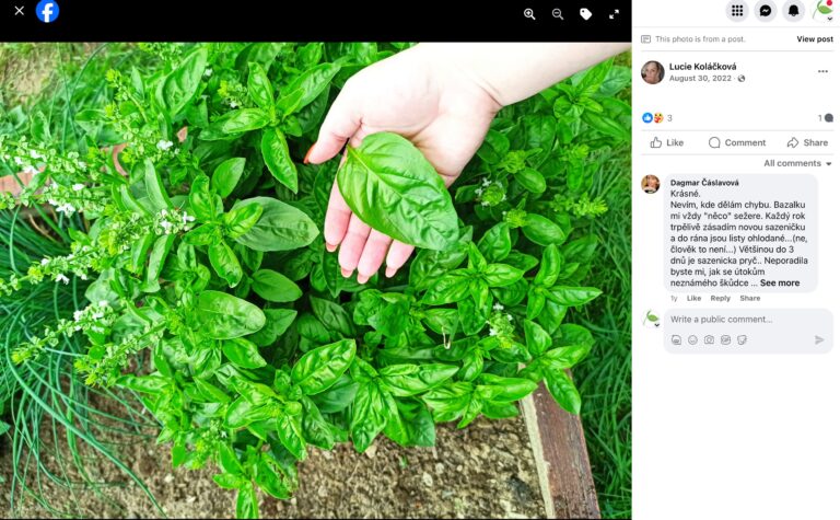 Hnojík - pr článek 63 2023 11 15 18 56 06