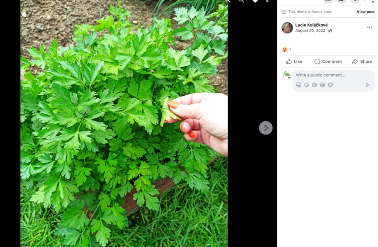 Hnojík - pr článek 62 2023 11 15 18 56 21