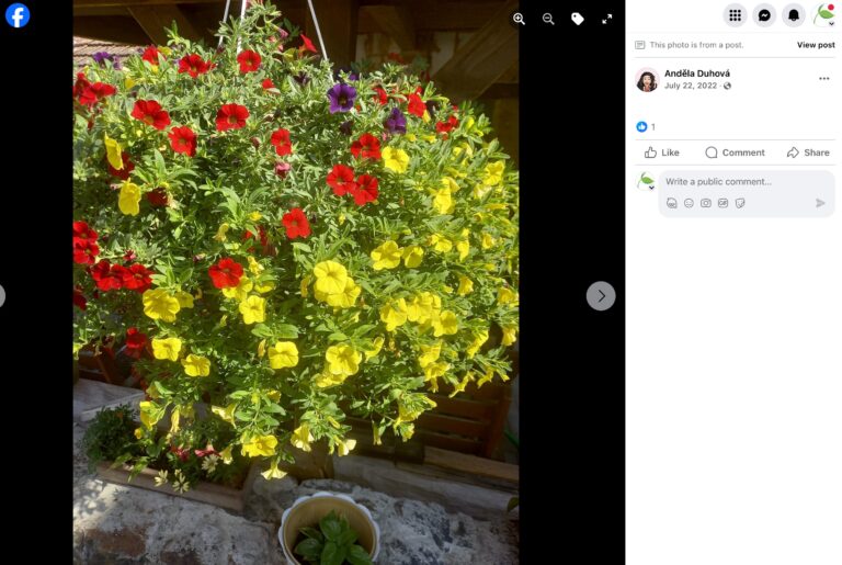 Hnojík - pr článek 61 2023 11 15 18 57 24