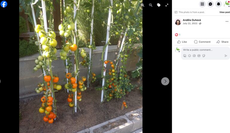 Hnojík - pr článek 60 2023 11 15 18 57 45