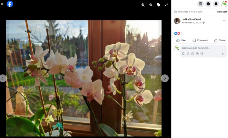 Hnojík - pr článek 59 2023 11 15 18 58 32