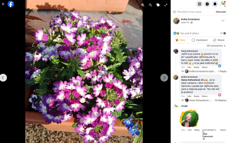 Hnojík - pr článek 57 2023 11 15 18 59 50