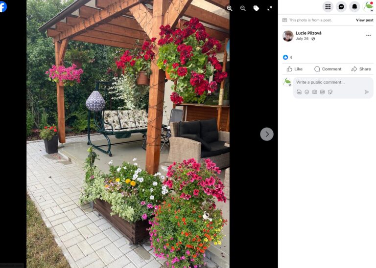 Hnojík - pr článek 56 2023 11 15 19 01 54