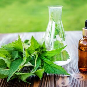 kopříva na vlasy - trhané listy kopřivy