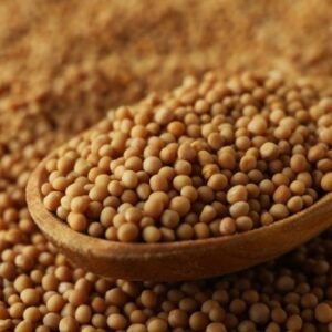 hořčičná semínka