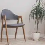 Dračinec 5 moderní byt s Dracénou