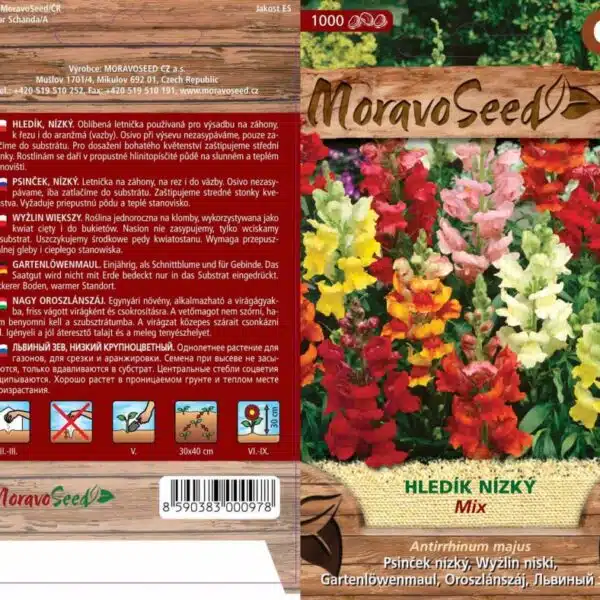 Hledík 5 hledí knízký semena