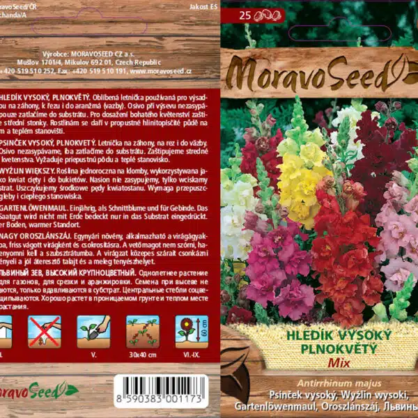 Hledík 4 hledík vysoký plnokvětý