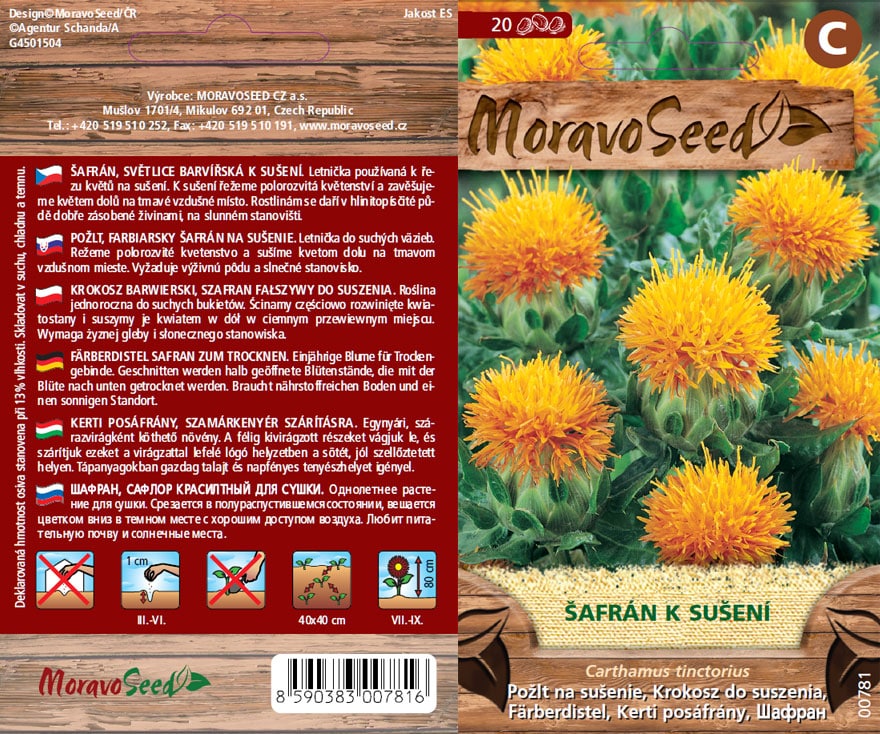 šafrán semínka