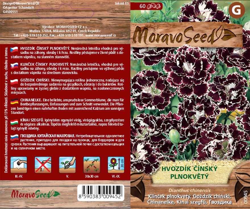 Dianthus chinensis/Hvozdík čínský/plnokvětý semena