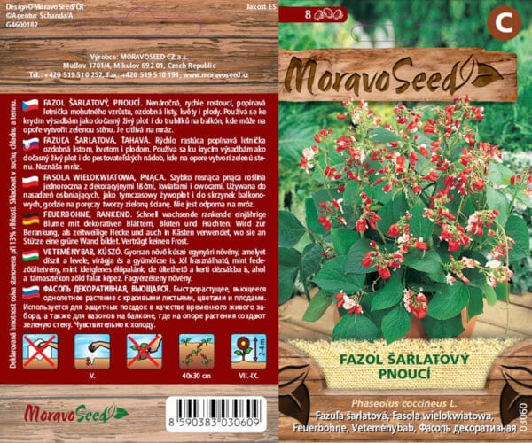 Phaseolus coccienus/Fazol šarlatový/pnoucí semena