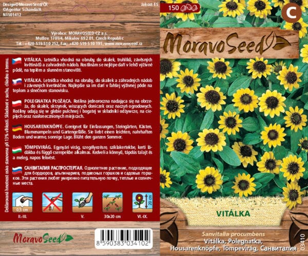 Sanvitalia procumbens/Vitálka/žlutá semena