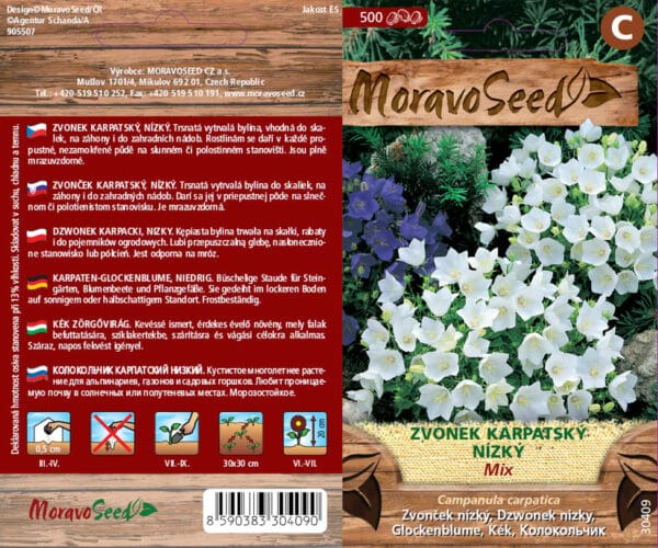 Zvonek karpatský semena
