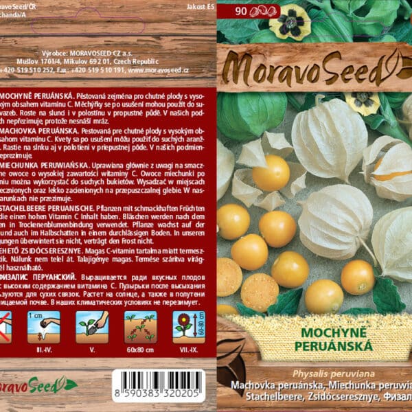 Mochyně 5 Mochyně peruánská semena