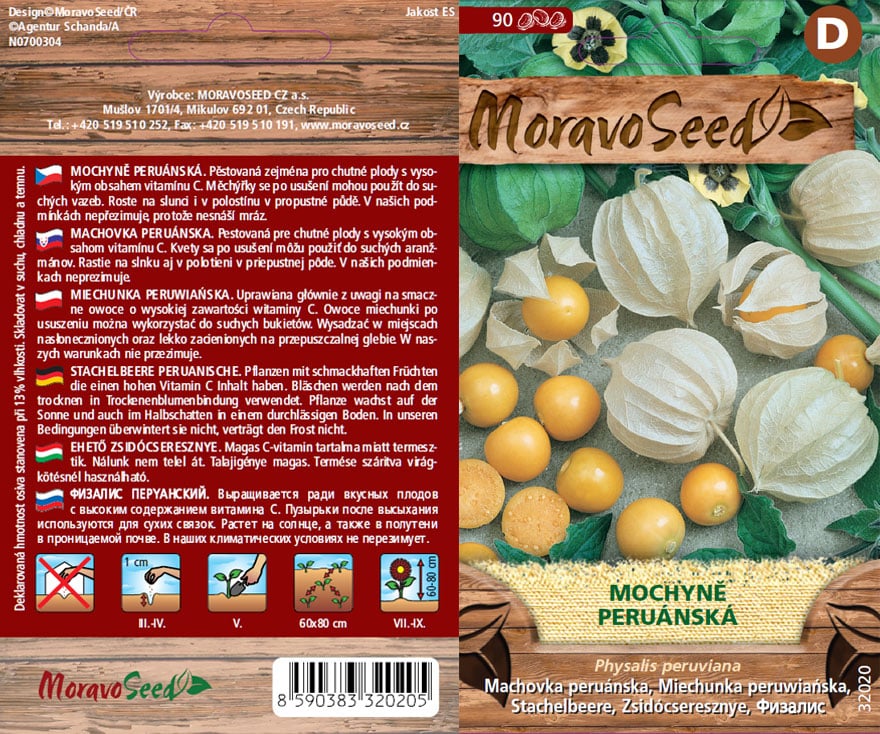 Mochyně peruánská semena