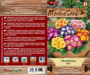 Prvosenka vyšší - Primula elatior