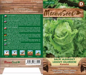 Salát hlávkový ledový - Lactuca sativa - KAMELOT - celoroční
