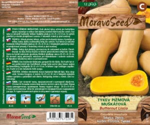 Tykev pižmová  - Cucurbita moschata - BUTTERNUT LISCIA - muškátová