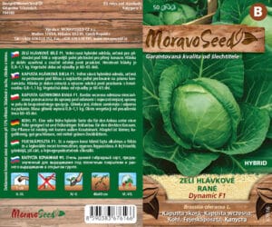 Zelí hlávkové - Brassica oleracea - DYNAMIC F1 - rané