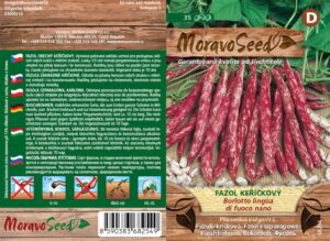 Fazol keříčkový - Phaseolus vulgaris - BORLOTTO L.DI FUOCO NANO - melírový