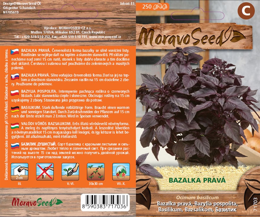 Bazalka pravá červená semena
