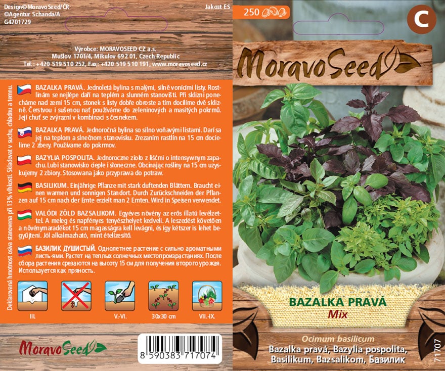 Bazalka pravá - Ocimum basilicum - Směs semena