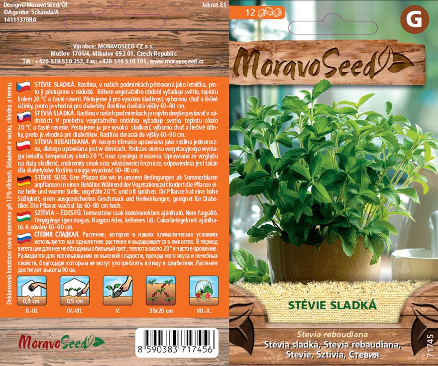 Stévie sladká - Stevia rebaudiana semena