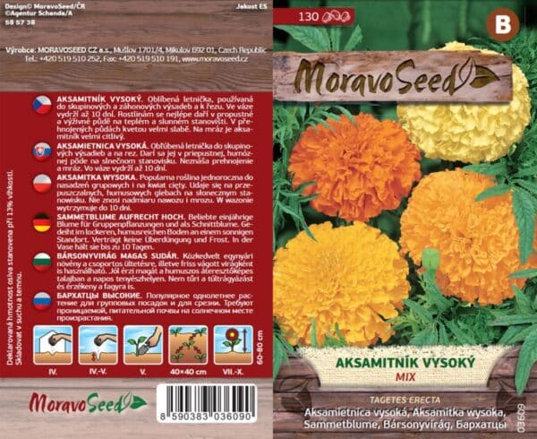 Aksamitník vysoký semena