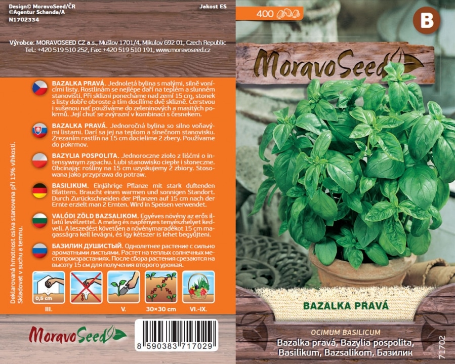 Bazalka pravá zelená semena