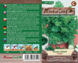 Celer listový kadeřavý - Apium graveolens - Pikant