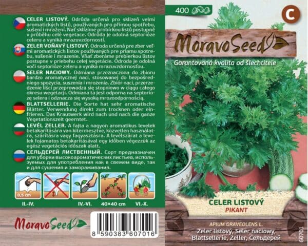 Celer listový kadeřavý pikant semena