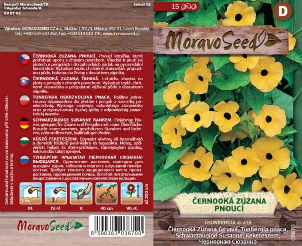 Černooká Zuzana semena