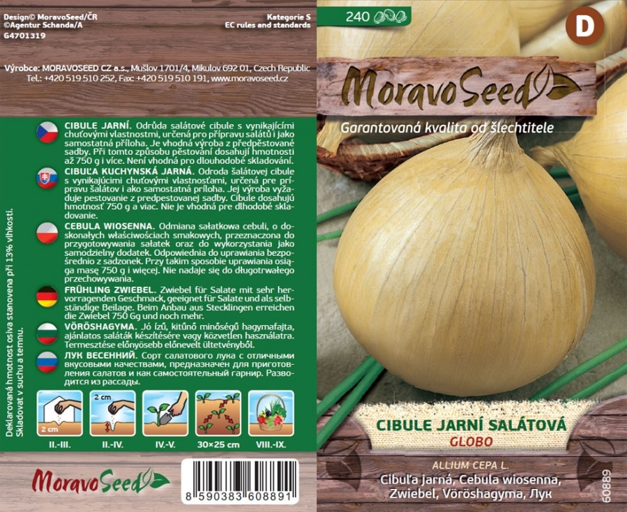 Hnojení cibule 4 Cibule jarní salátová GLOBO semena