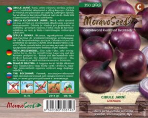 Cibule jarní - Allium cepa L. - Grenada - červená