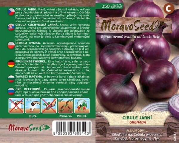 Cibule jarní červená Grenada semena
