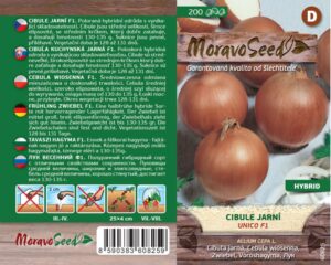 Cibule jarní - Allium cepa L. - Unico F1 - kuchyňská
