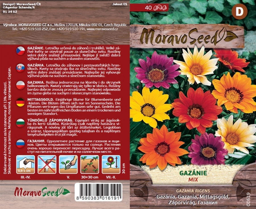 Gazánie 2 Gazania rigens/Gazanie zářivá/směs semena