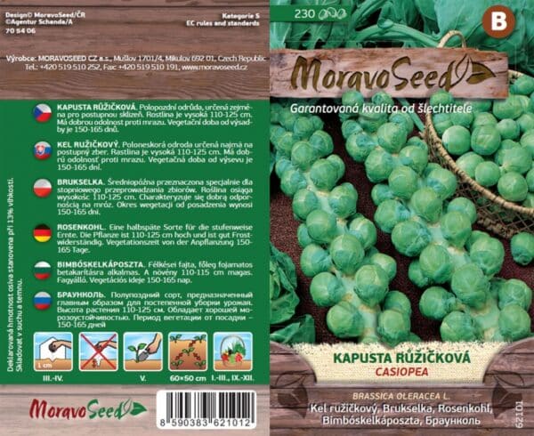 Kapusta růžičková CASIOPEA semena