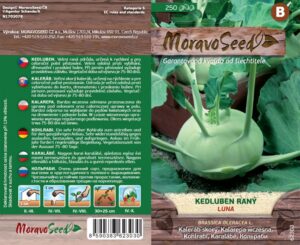 Kedluben raný - Brassica oleracea - LUNA - bílý