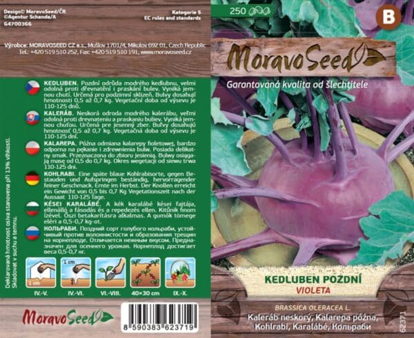 Kedluben pozdní modrý VIOLETA semena
