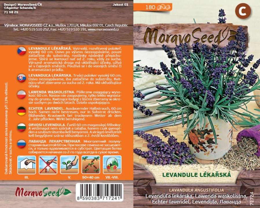 Levandule lékařská semena