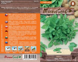 Máta peprná - Mentha