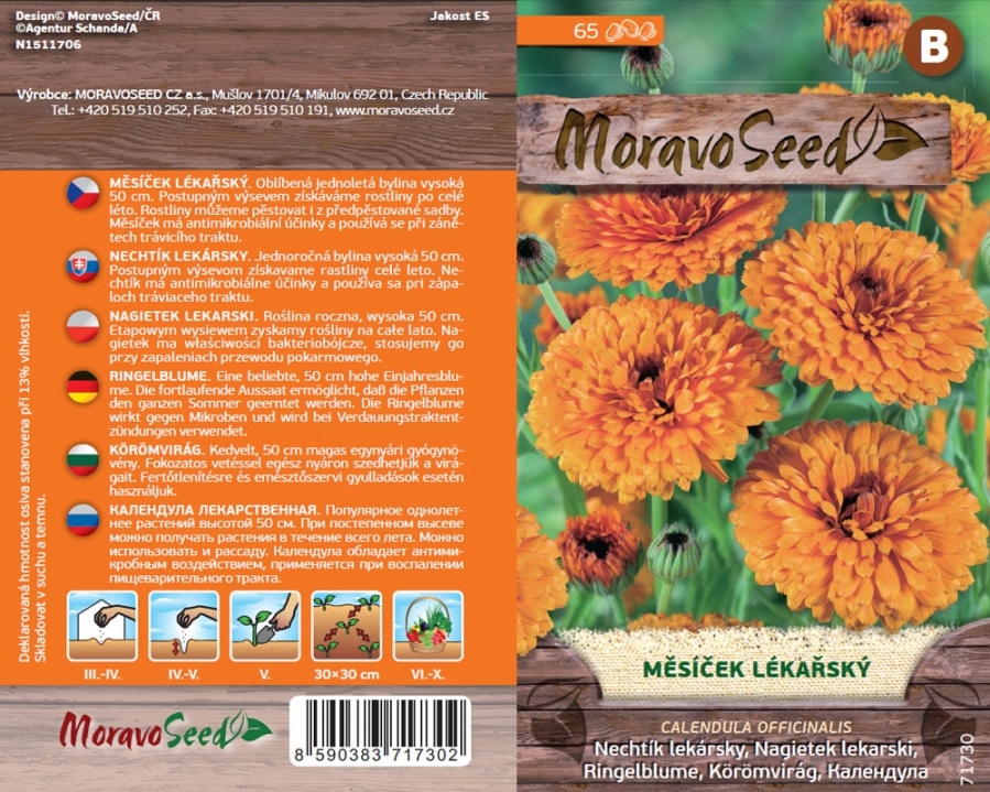 Měsíček lékařský semena