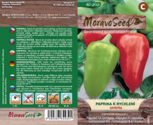 Paprika k rychlení - Capsicum annum - SANDRA